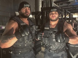 vivalavonvon:    The #AuthorsofPain plan to destroy some local talent in Montreal! #Raw @rezarwwe@akamwwe  