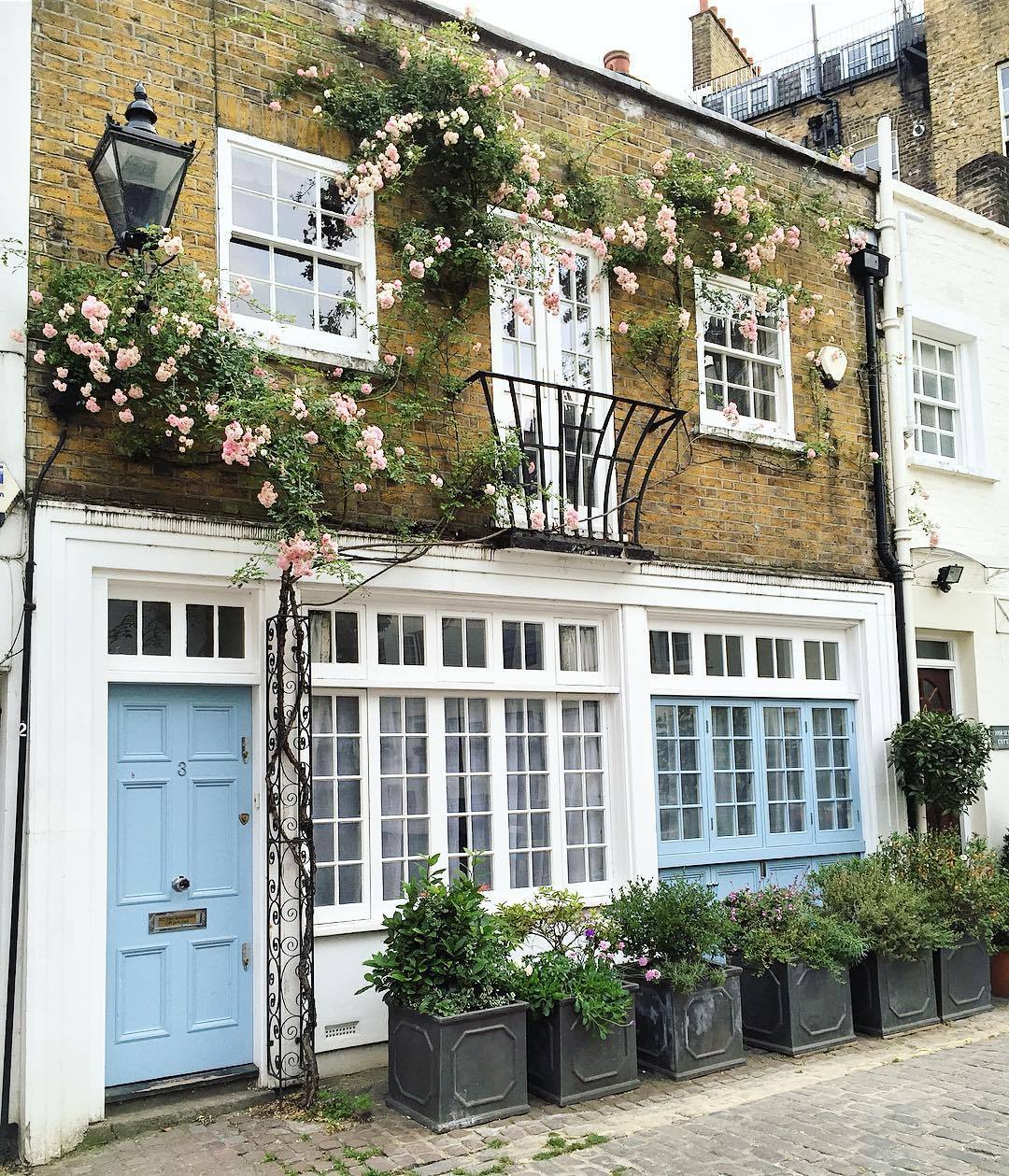 andantegrazioso:British facades |  thedoorsofldn  
