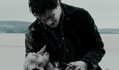 alexdoodlemain:   HP meme: five deaths (3/5)↳ Dobby is happy to be with his friend…Harry Potter.