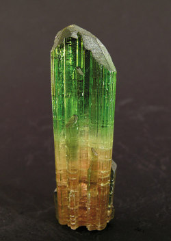 Ifuckingloveminerals:tourmaline Var: Elbaite Viadinho  Brazil  I Really Want Ginger