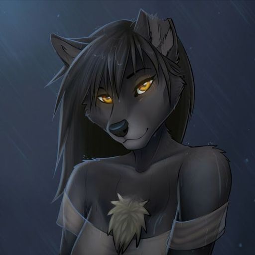 yiffhubclub:@Yiffhubclub for more [e621] Qrichy