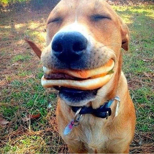 the-quasar-hero:  happiness 