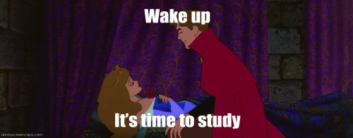 disneyismyescape: dailylifeofadisneyfreak: I really wasn’t feeling down to study today so I 