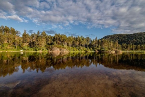 utwo: Welcome to Trehyttene ! Norway © trehyttene.no 