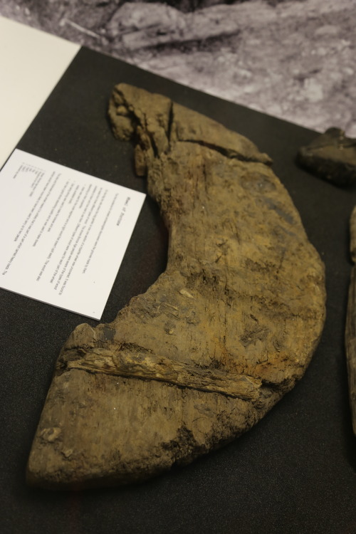 This is potentially the earliest known wheel in the United Kingdom; a Bronze Age artefact from Flag 