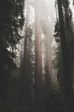 envyavenue:  Among Giants 