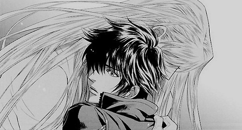 All is yaoi