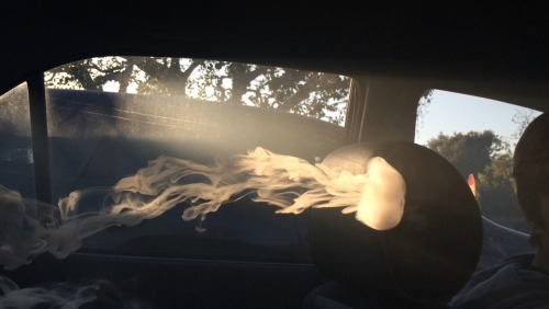 satssukaaay:  fuckreiva:  dabsandvveed:  Actual jellyfish swimming on your dash  this makes me really happy  ☀️ 