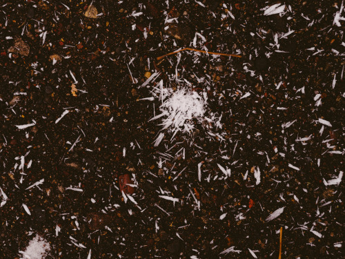 It’s currently snowing needle snowflakes — a fairly unique type of snowflake which only forms when t