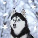 husky-deer-therian - They/xe/it; sapphic, demiaroace, polyamory and non-binary