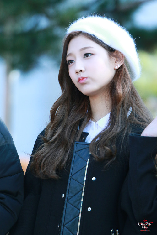 lovelyz8:151211 Music Bank Mini Fanmeeting (1, 2) © Chu Pop Chu | do not crop or edit.