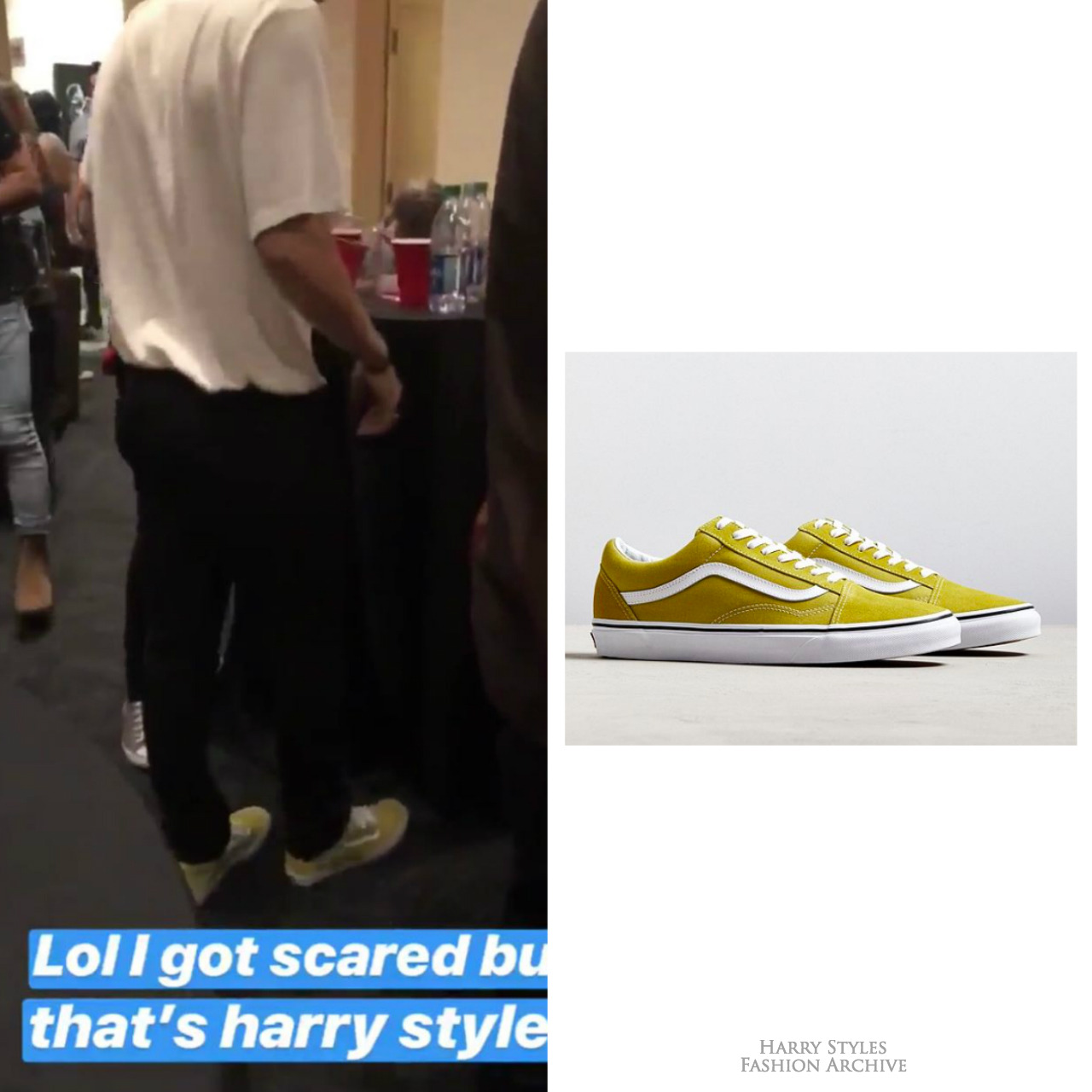 harry styles vans shoes