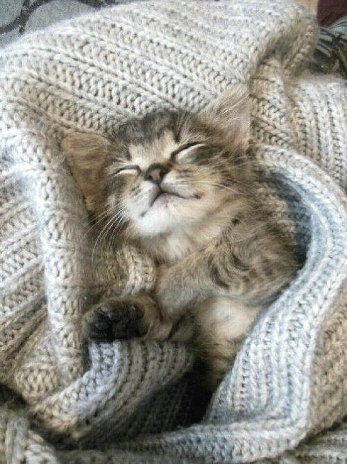 Me currently…