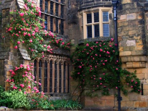 medieval-woman - Haddon Hall in Derbyshire by JR P  