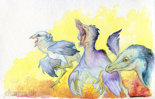 ‘Early Birds’8.3x 5.4 inches watercolor and col-erase pencil on 140lb cold-pressed watercolor paperA