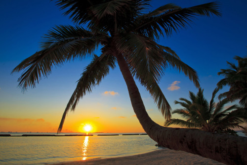 tropicaldestinations:  Beautiful sunset in Maldives - Tropical destinations