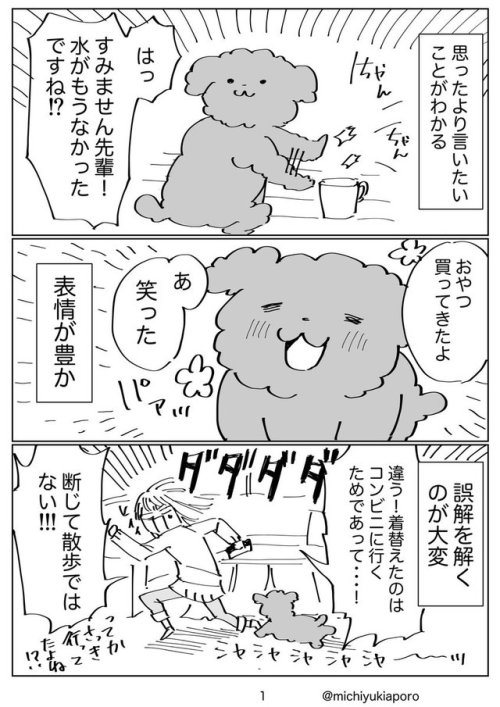 highlandvalley:  https://twitter.com/michiyukiaporo/status/963351630274949120/photo/1