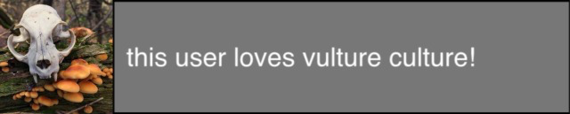 vulture culture
