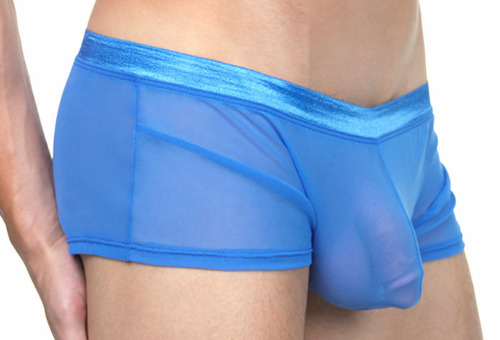 Underwear, Swimwear & Bulges