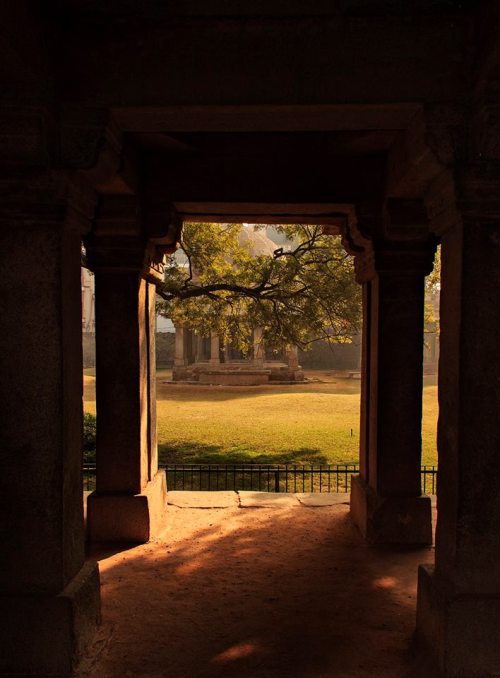 Lodi gardens, Delhi