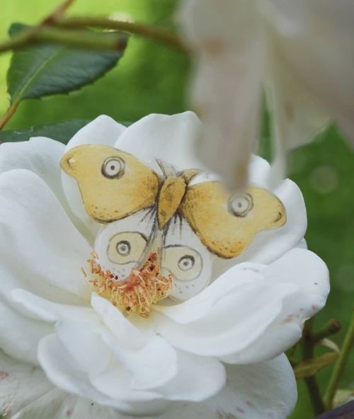 Spotted in the gardenLittle resin butterfly pin in my Etsy shop✨