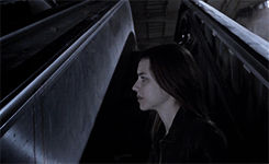 Were All Infected: A Teen Wolf Zombie AU
