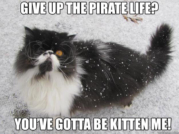 pleatedjeans:  Best of the Pirate Cat Meme (18 Pics)