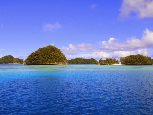 unicorn-meat-is-too-mainstream: Palau is an archipelago of about 250 islands, located in the western