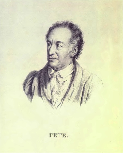 Portrait of Johann Wolfgang von Goethe, 1823, Orest KiprenskyMedium: pencil,paper