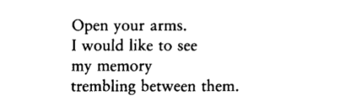 citizen-of-a-floating-world:  From The Pages of Day and Night by Adonis, translated by Samuel Hazo