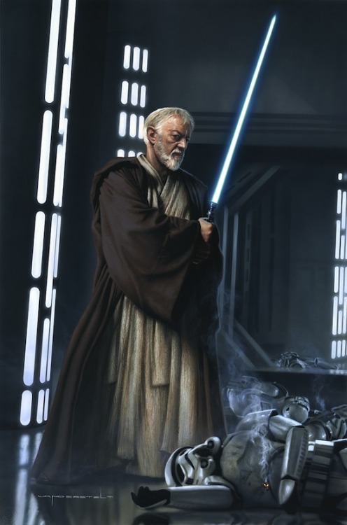 alwaysstarwars:  Another series of beautiful portraits by Jerry Vanderstelt