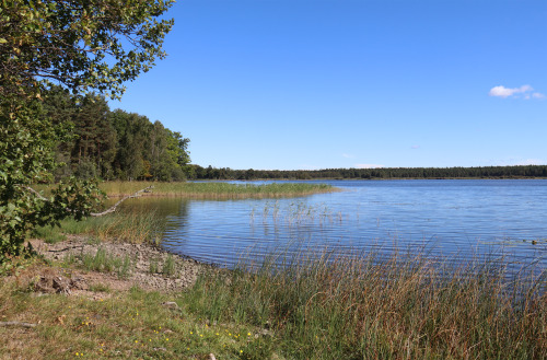 Värmlands Säby nature reserve, Sweden.