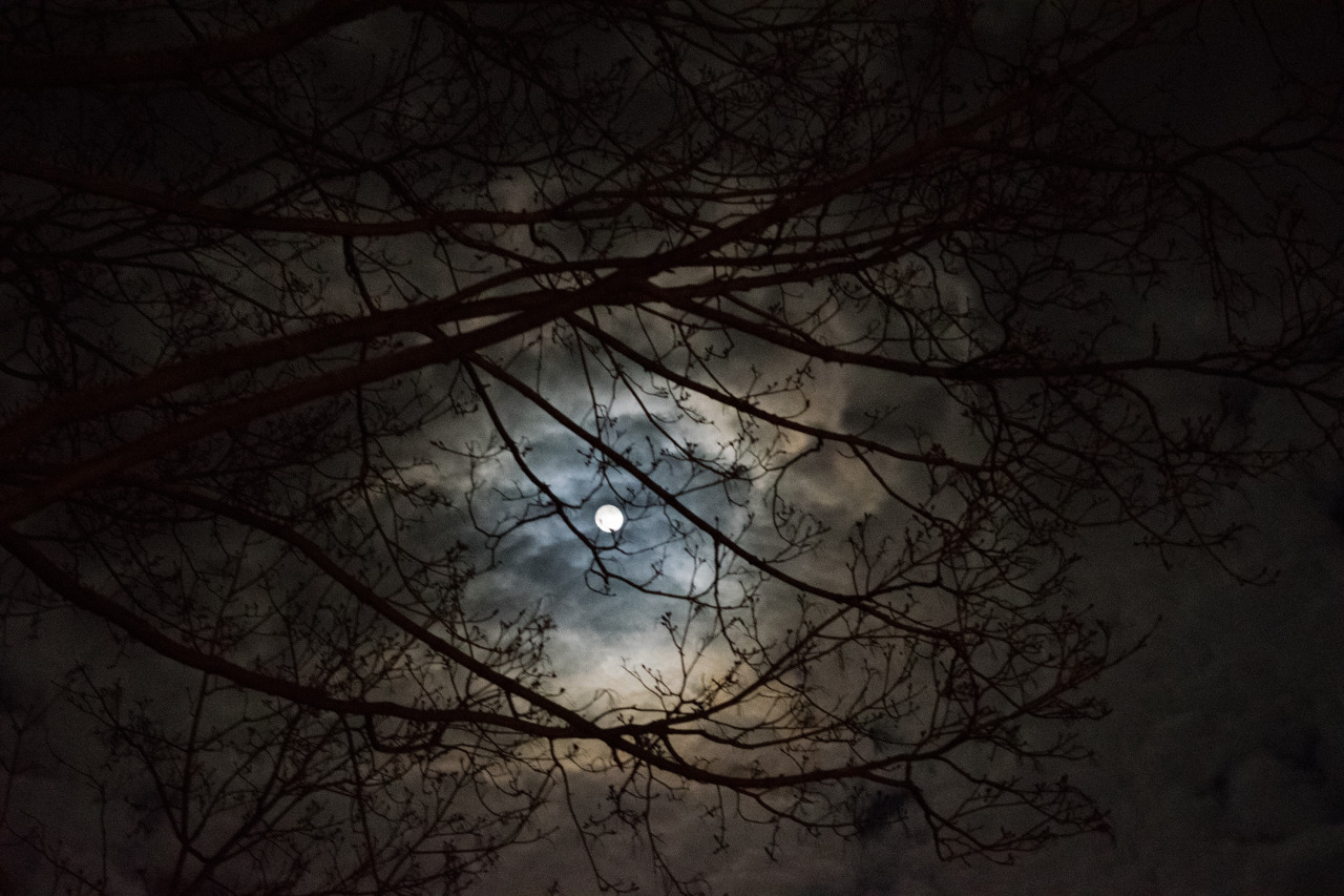 der&ndash;traeumer:  ©der–traeumer