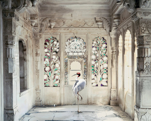 Indian song, Udaipur palace, photo by Karen Knorr