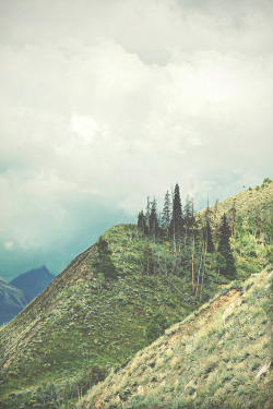 desparate:  I-70 West, Colorado (by Valerie Manne)