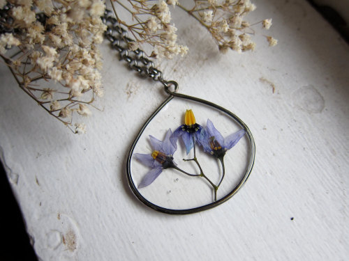 bones-and-things: bittersweet nightshade (Solanum dulcamara) looking glass necklace