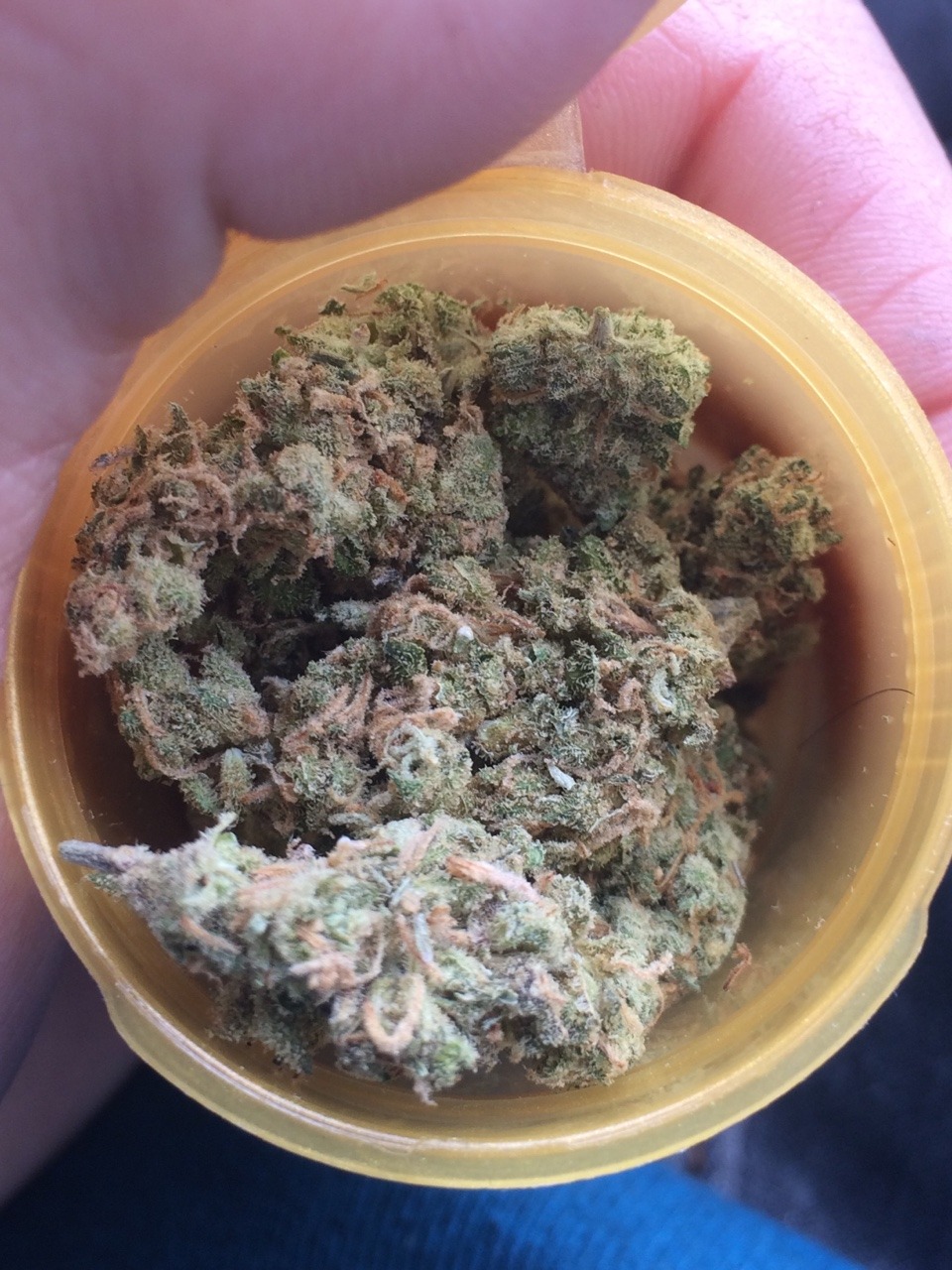 marybriannna:  veraisastoner:  soripped-forgotiwasripped:  Cannabis infused fried