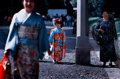 Three Generations; Meiji Jingu Shrine, Tokyo