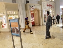 nepetea:someone got this picture of bernie sanders watching this furry fight jack skellington at anime boston