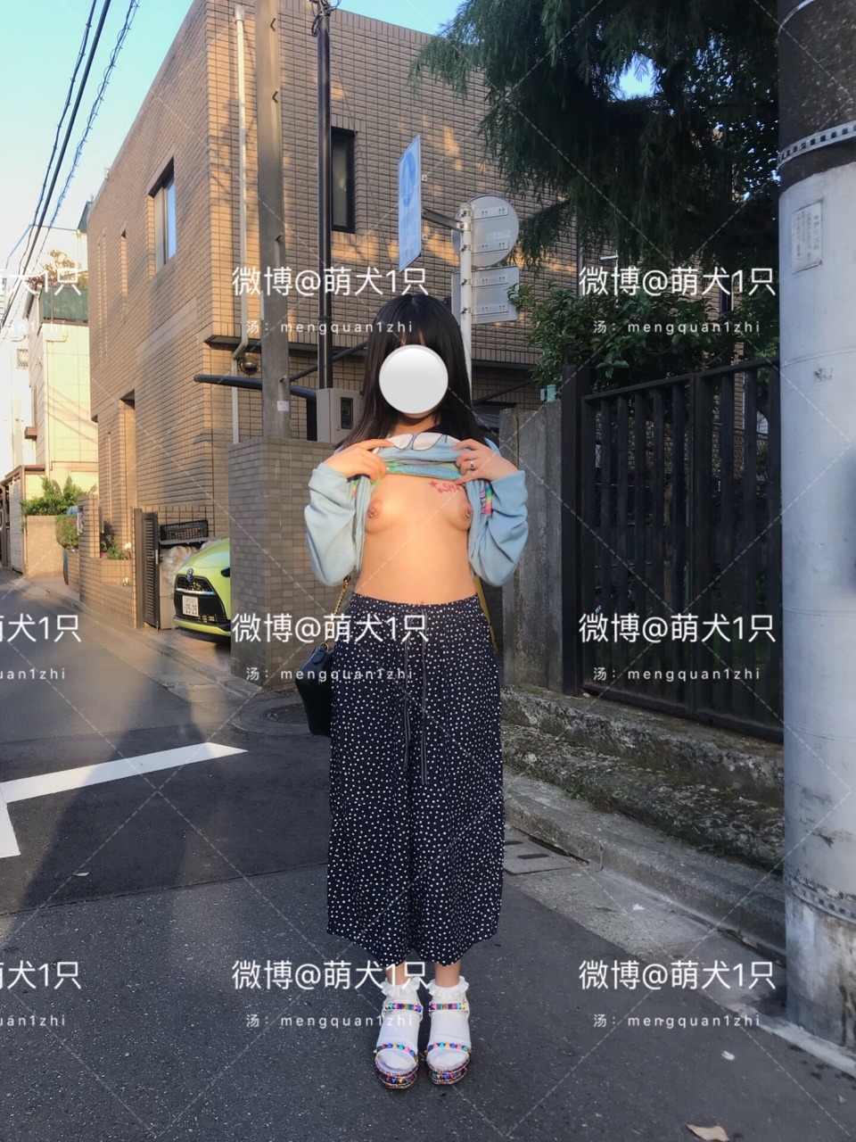 萌 犬 1 只.