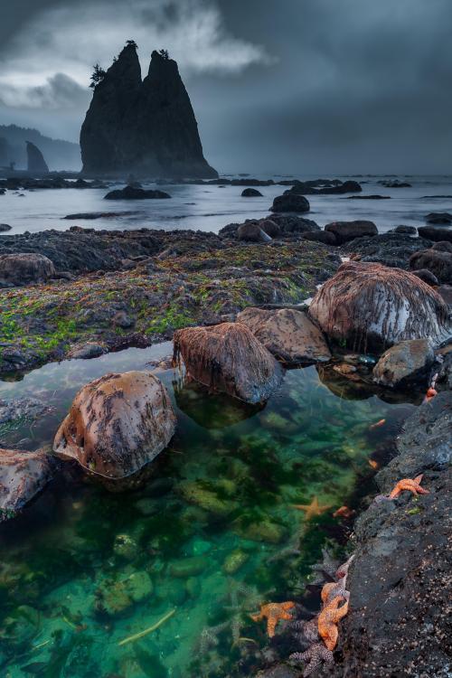 oneshotolive:  Rialto Beach, Washington coast [OC][2912x4368] 📷: Gleb_Tarro 