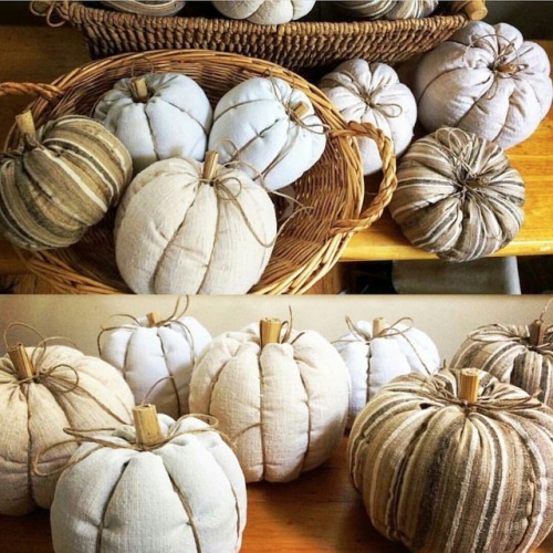 fresh batch of handcrafted pumpkins heading to the shop - thank you @thistlestitchstudio #shoplocal✅