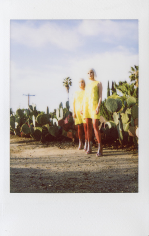 just came across these polaroids from last year with lucius - photos by peter larson