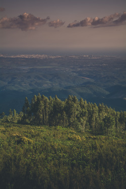 pedromgabriel:  - Forest ~ City ~ Ocean -