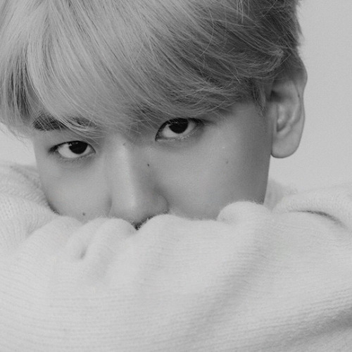 happybbh:  ‘BAEKHYUN’ 1st japanese mini album ✧ 2021.01.20