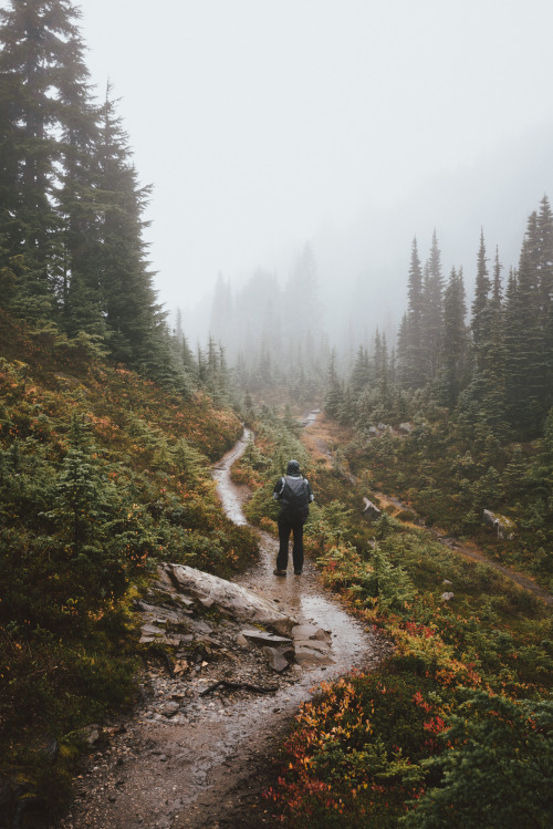 Hiking around Mount Rainier NP, Washington || IG: BToneVibes