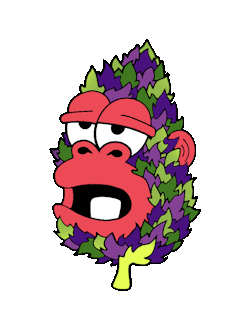 whospilledthebongwater:  grape ape