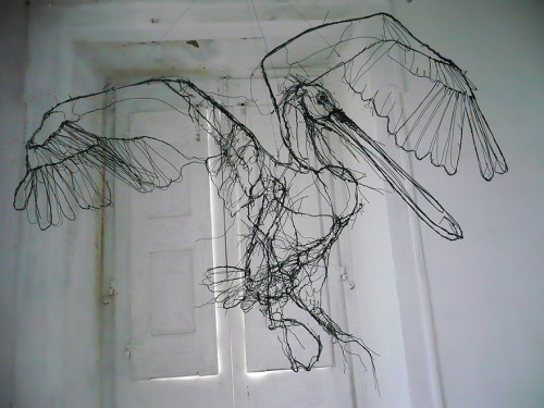 coolthingoftheday:  Artist David Oliviera creates intricate wire animal sculptures that resemble pencil sketches. 