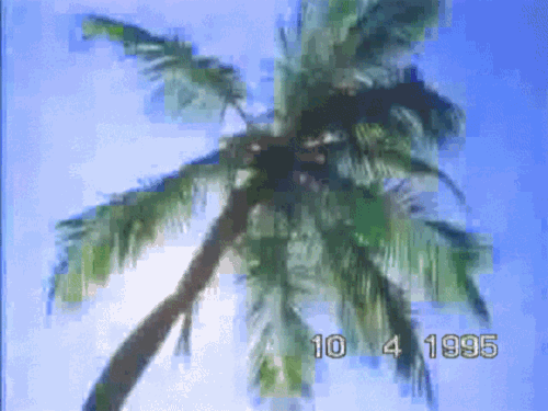 ベース