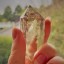 crystallineconscious